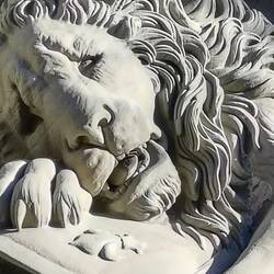 The mane is a masterwork of detail. The face inspires grief.