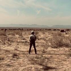 ...as can be seen here.