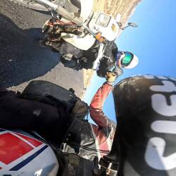 Fistbump on camels, yeah!