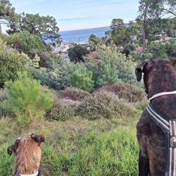 Auf der Suche nach 🍄, den Yachthafen entdeckt