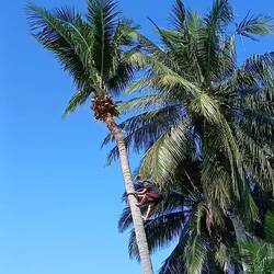 No rope or ladder needed!