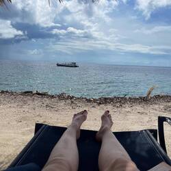 Der Blick von meinem Liegestuhl