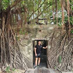 Anping Tree House