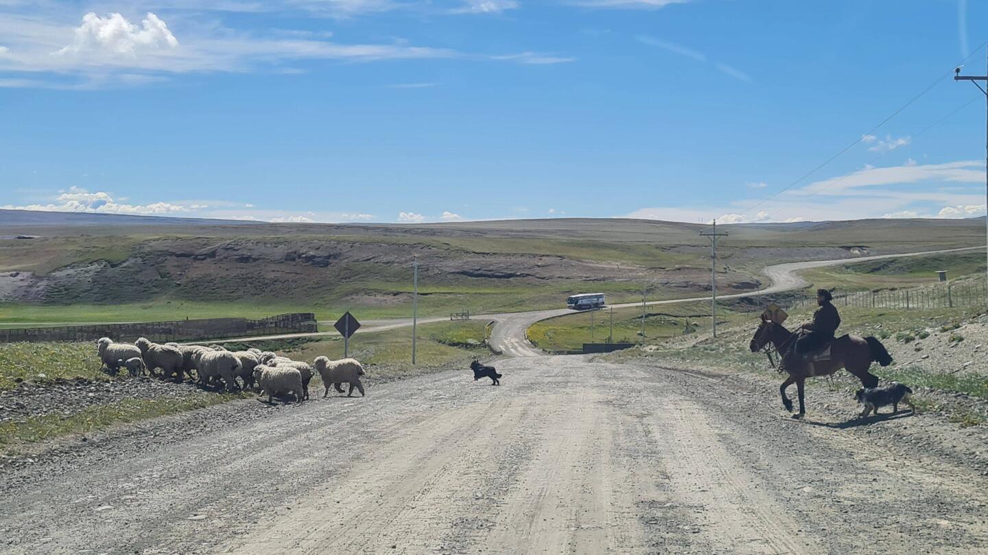 Noch ist viel los - dicht an der chilenisch-argentinischen Grenze