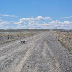 ... doch dann: Weites Land