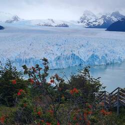 Am nächsten Tag ...