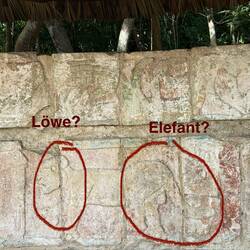 Eine Löwe? Ein Elefant? Woher kannten die Maya Afrikas Tierwelt? Oder ist ein Jaguar? Mysterium!