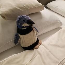 The Dude is happy to be at Harry's Home for the evening.