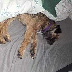 Da verschläft auch ein Tornado