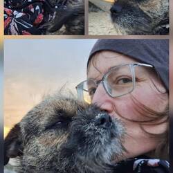 Strand, passend zum Sonnenuntergang