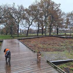 Spaziergang am 🐦 Nationalpark, es schüttet