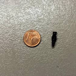 Unser lästiger Begleiter seit 1000km