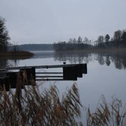 Morgenstimmung in Forsbacka