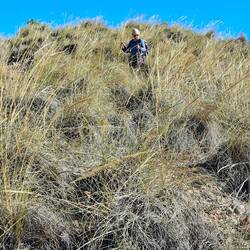 Le hors-piste, parfois, y'en a marre 😡😂 !