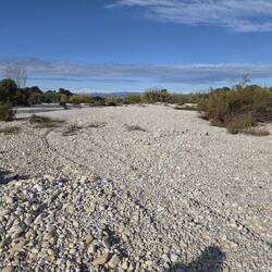 Trockenes Flussbett, letztes Jahr alles überschwemmt gewesen