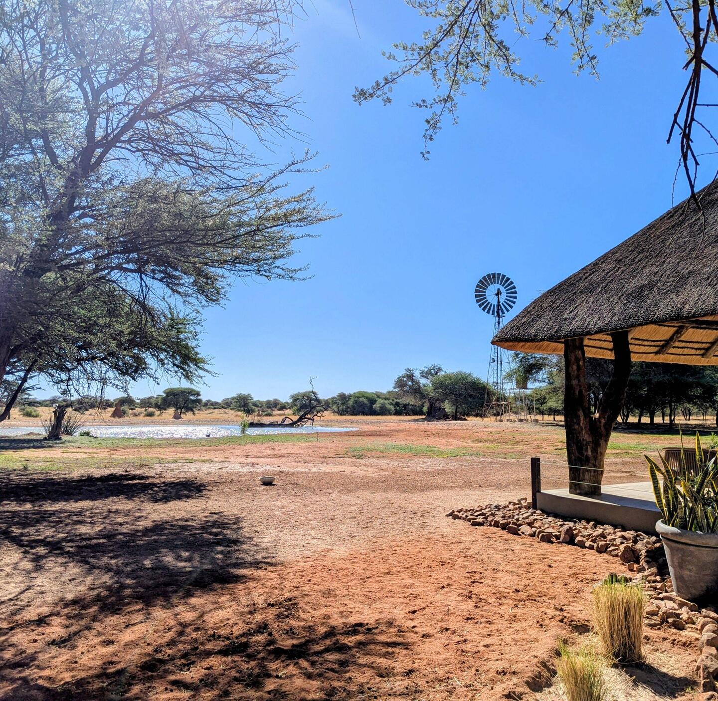 Wasserloch vor der Haustür