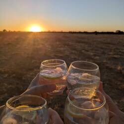 ...und immer wieder Gin Tonic 🍸