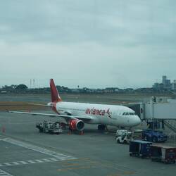 Ab ins Flugzeug in die Galapagos.