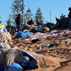 ... und die Netze wieder sortiert