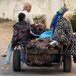 ... wenige Meter weiter sind viele der Marokkaner mit Pferd oder Esel unterwegs