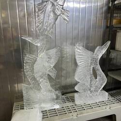 Ice sculpting class