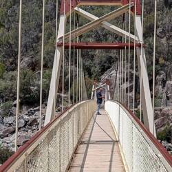 Alexandra Suspension Bridge