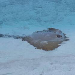 Jochen ist wieder da