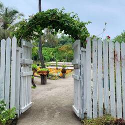 Inselrundgang: Garten