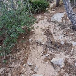 Unser Höhenweg entlang des Meeres