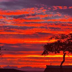 Und Moni hat ein tolles Bild gemacht, das erste sehr gute in diesem Jahr