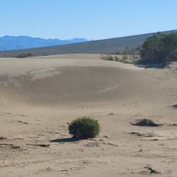 Feuchtigkeit auf der schattigen Seite bis die Sonne hinkommt.