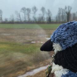 The dude is fascinated by Lichtenstein