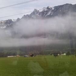 We haven't completely left the mountains behind, but it looks like it's been.warmer here.