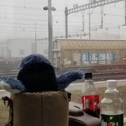 The Dude is contemplating graphiti.