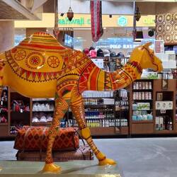 Gestern Abend auf dem Flughafen Maskat.