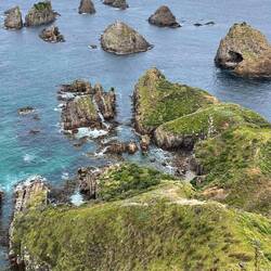 "nuggets" named by Captain Cook