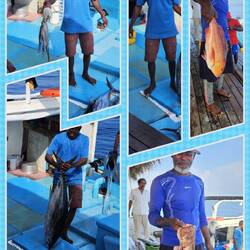 Eine kleine Auswahl 🤪