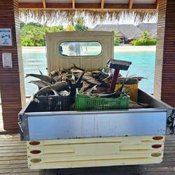 Ab in die Küche 👨‍🍳