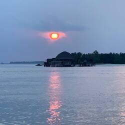 ... zum Sonnenuntergang 🌅