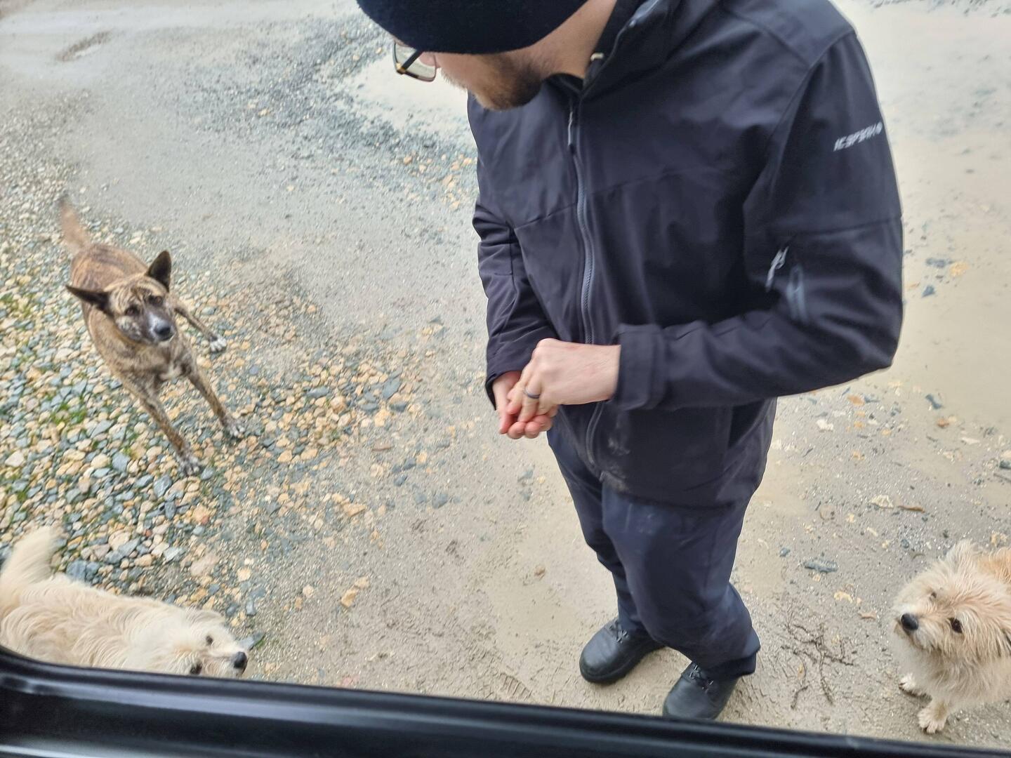 Mit freundlicher Begrüssung (und nein das ist nicht Nara)