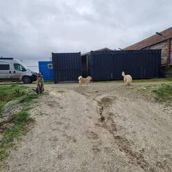 Am warten bis wir losgehen.