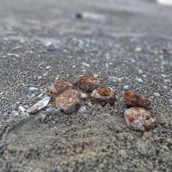 Diese Schrauben waren wohl nicht mehr locker.