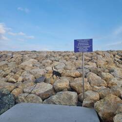 Nara ist natürlich dafür Ausgebildet hier zu arbeiten und darf darum da hoch.