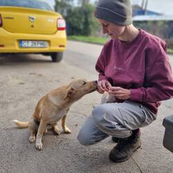 Bitte noch etwas mehr, ich bin auch ganz lieb.