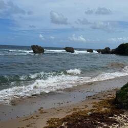 Bathsheba Beach