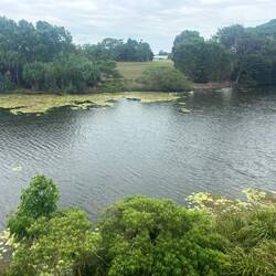 Botanischer Garten Mackay