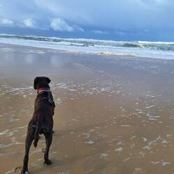 Fernweh - definitiv kein Leuchtturm apportier Wetter