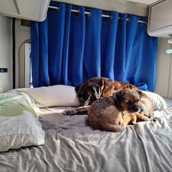 Erholen sich die anderen