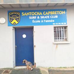 Boje ist sich noch nicht ganz so sicher