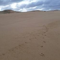 Erste Spuren im Sand - wie im Skiurlaub
